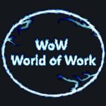 WoW - World of Work - technischer Kundendienst und Haushaltsberater in Leipzig